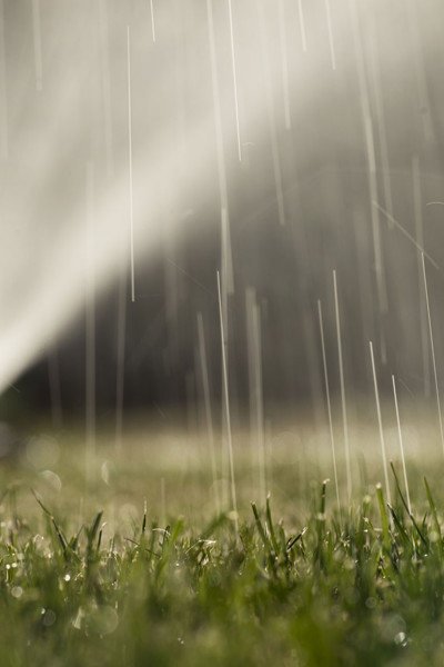 A closer look of the irrigation system watering the turf