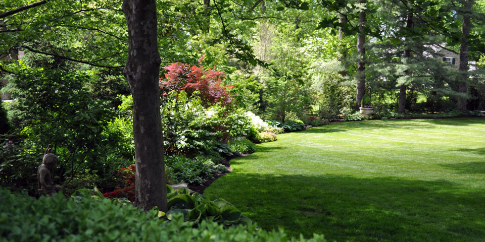 Landscaping Property Lines, Natural Wooded Landscaping Ideas